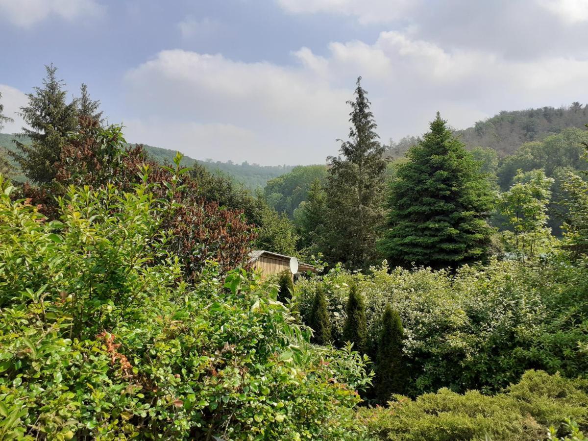 Talblick 2 - Ihr Zuhause : Das Ferienhaus Mitten Im Idyllischen Tal Bad Bibra Екстериор снимка